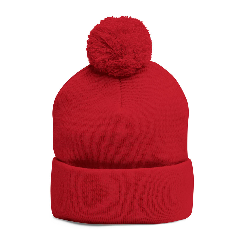 Dolce Liberta Pom-Pom Beanie — Embroidered Knit Cap